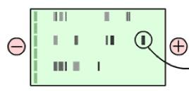 DNA Electrophoresis Electrophoresis is the process of moving a biomaterial (usually DNA or protein) through a gel phase material using electric potential DNA is negatively charged