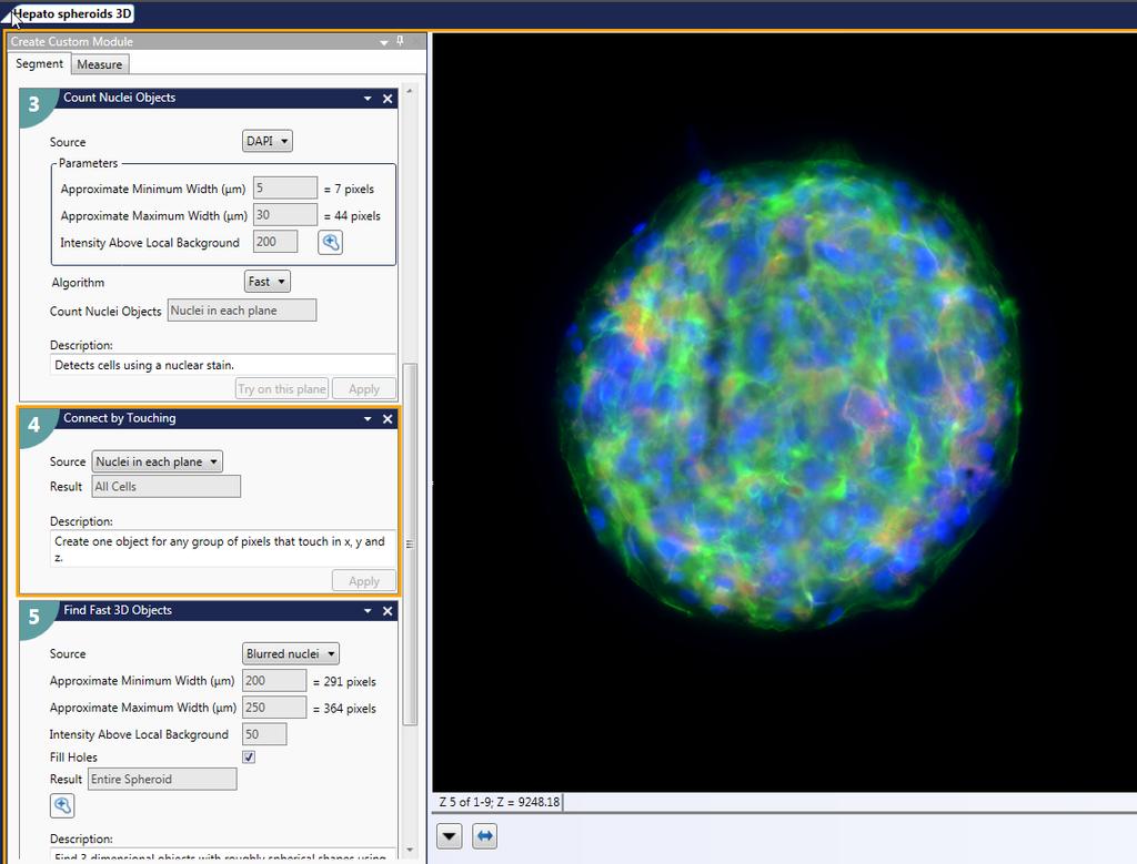 With our step-by-step, interactive editor, you can create challenging, multistep algorithms such as counting punctae in neurite outgrowths, and then run them in minutes using PowerCore Software.