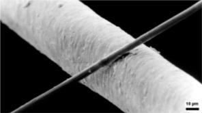 (50-70 micron) Carbon fiber (5-7 micron) Honeycomb molecular