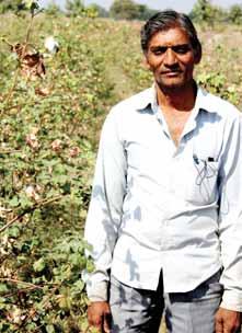 Better cotton, improved environment, dignified lives An upbeat Badrilal Sitaram Yadav (in photo below), who owns 9.88 acres of land, and is growing be er co on on 6.