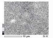 Distribution of montmorillonite Figure 3: Surface distribution of montmorillonite by SEM EDS.