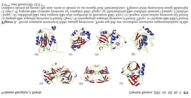 Aspartic proteases Serine proteases