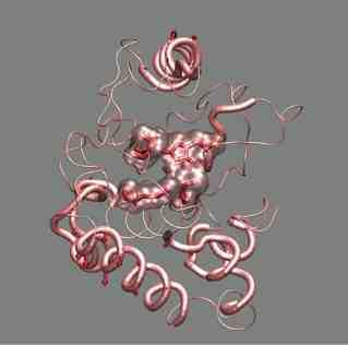 exonuclease III