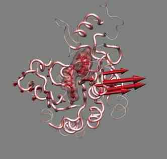 exonuclease III L: