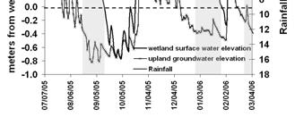 Groundwater/surface water exchange: Okeechobee isolated wetlands Wetland Water Budget Summary ΔV/Δt = Q i Q o + S G o + G i + P n A EA +/- T P = rain gage ET = pan; meteorological data; diurnal water