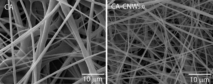 Randomly oriented nanocomposite fibers Different CNW contents 1, 3, 5