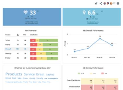 Actionable Insights Drive Action At any level of your organization, Satmetrix NPX
