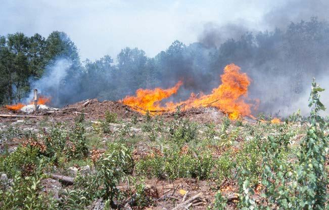 and fire may escape Weather conditions limit opportunities for burning Risk of erosion on steep (>35%) slope Rapid recovery of some herbaceous species Nitrogen, an essential plant nutrient, is lost