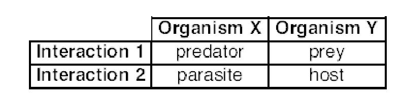 Slide 7 / 40 7 Which statement best describes the relationship between organism X and organism Y in each interaction above?