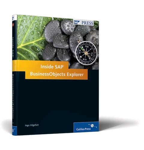 SAP BusinessObjects Explorer (SAP Press, 2010)