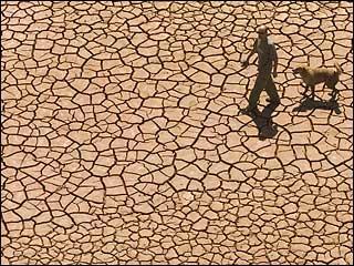 Drought A Natural Phenomenon that Causes Disasters Planet