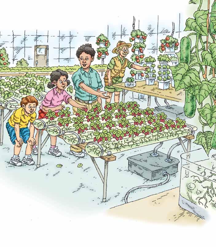 Hydroponic gardening is really quite unique If growing plants without the dirt Is something that you seek.
