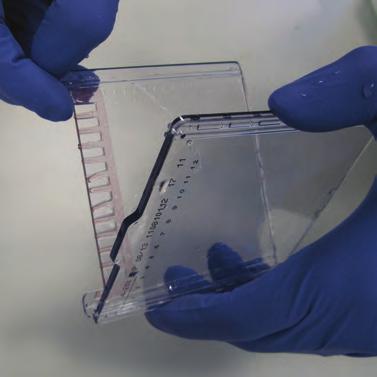 High quality protein electrophoresis and western blot reagents Our Optiblot range of products for protein electrophoresis and western blotting is designed to save you time and ensure you can