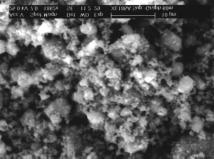 Characterization of asmilled Al2O3-SiC5% powder were carried out by SEM.