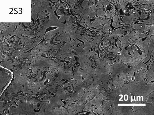 than the HDSCW samples (Table 9). (a) 2U3 (b) 2S3 Figure 9: SEM images of NiCrAlY coated IN625 tested in LDSCW for 500 hours.