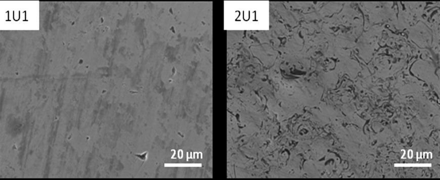 3. Results 3.1 Samples in the As-Prepared Condition The surface microstructure of four as-polished, untested samples (1U1, 1S1, 2U1 and 2S1) are shown in Figure 4.