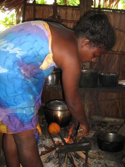 Role of clean energy in adaptation! safer cooking: biogas and improved biomass use provide a safer fuel for cooking and consequently reduce exposure to indoor pollution and burns.