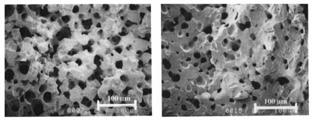 Current Issues and Challenges in Polypropylene Foaming: A Review Figure 9. Cell morphology of (left) linear and (right) branched PP foamed at: P = 27.