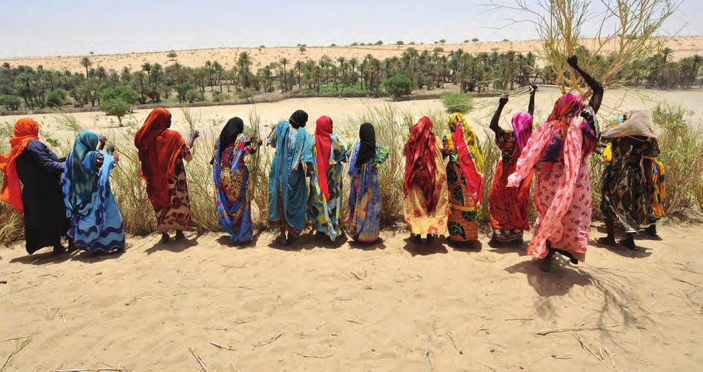 A BROAD APPROACH TO REDUCE RURAL POVERTY CHAD Women making a fence to cultivate a market garden FAO/Zakir Hossain investment support tools and learning resources to improve the investment process.