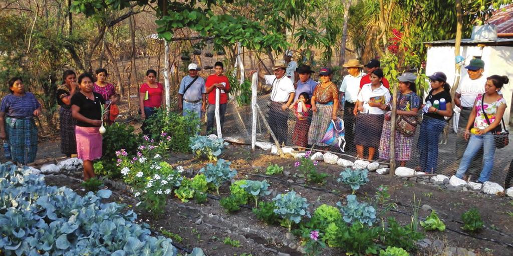 ENDING POVERTY AND HUNGER BY INVESTING IN AGRICULTURE AND RURAL AREAS GUATEMALA Families learn about horticulture FAO SECURING LAND RIGHTS FOR INDIGENOUS PEOPLES IN HONDURAS AND GUATEMALA There are