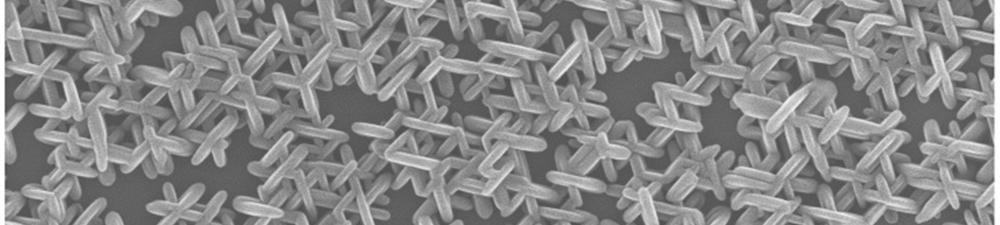 resistance of VO2 nanostructures grown on differently oriented