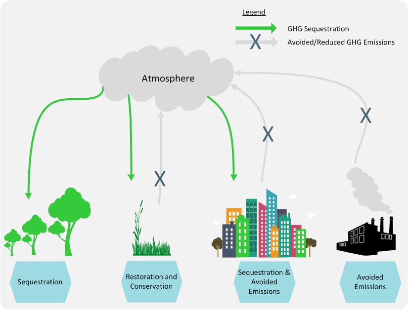 Figure 7. Various project activities can be undertaken to generate voluntary carbon offsets.