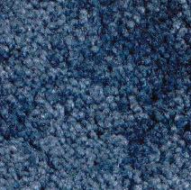 requirements that are not applied to other fibers used in the production of carpet.