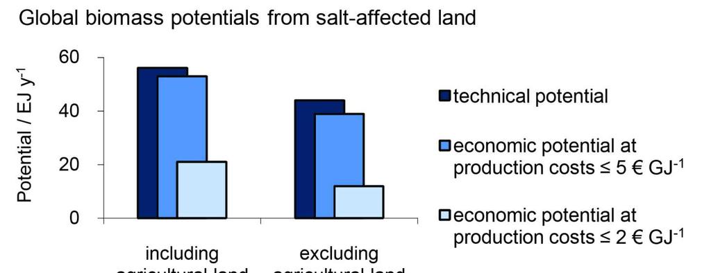 Bioenergy from degraded land (example salt-affected