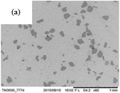 0: SEM images of Al 10 beryl, Al-20 beryl and Al-30 beryl composites, containing average