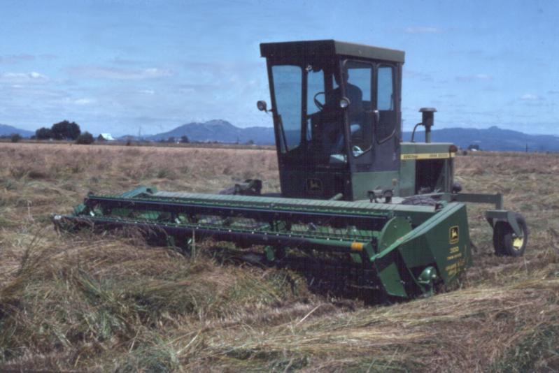Artificial drying increases the cost of production. Dried windrows can later be threshed by a combine with a pickup header.