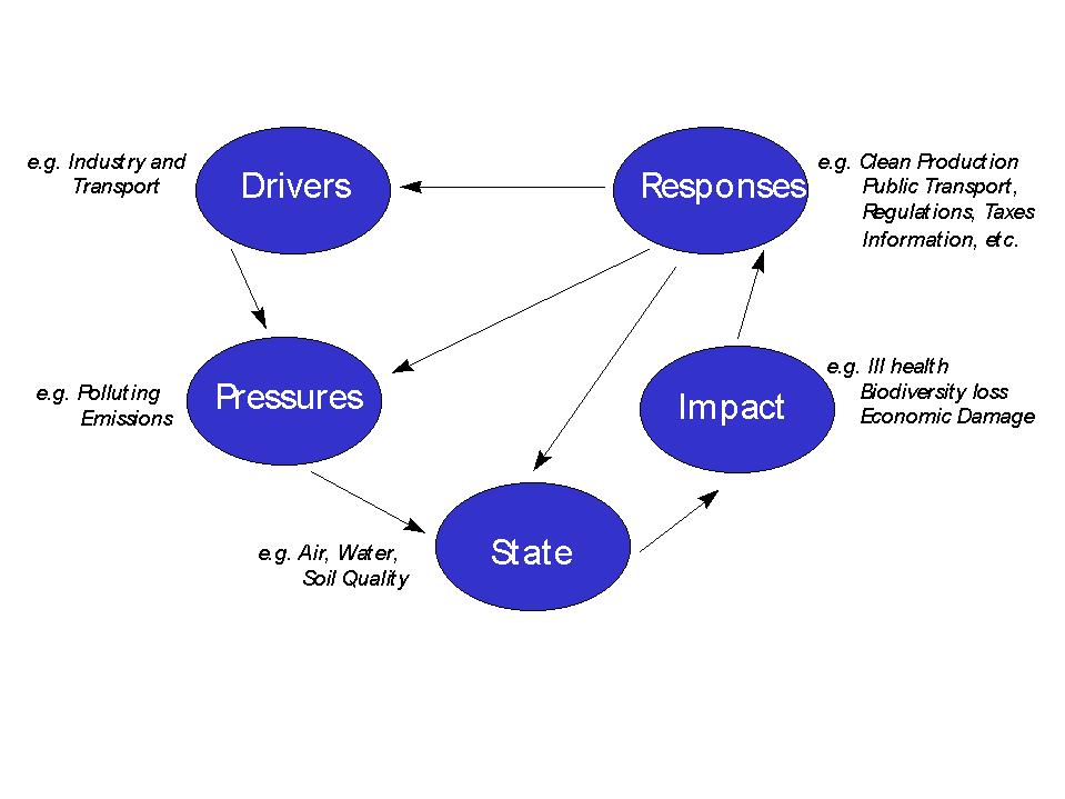 A stepwise approach, based on DPSIR framework 1. pressures from driver offshore wind farms 2. state potentially affected species groups 3. other drivers & pressures affecting same species groups 4.