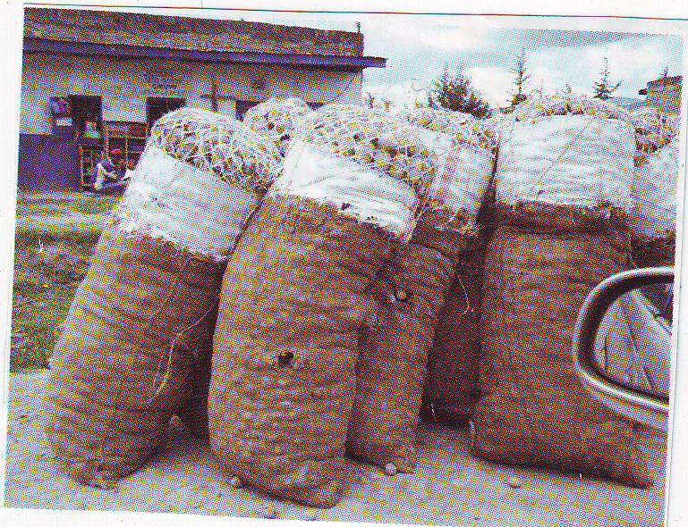A. M. Karanja et al. Figure 1. Potato bags with sisal net extension woven onto each bag which weighs from 110-150 kg.