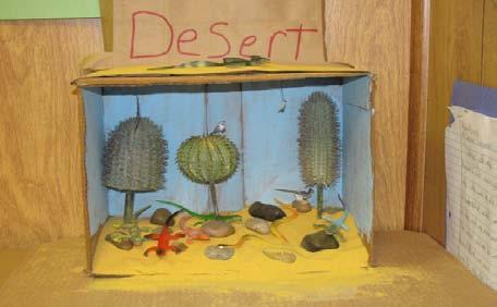 Activity: Creating Materials: a carton box, paper, glue, craft supplies, plastic models of animals and plants Process