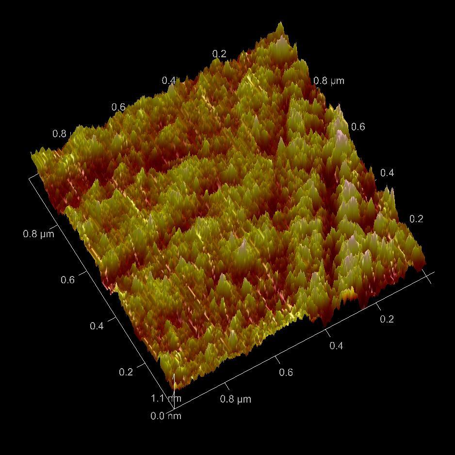 Results Atomic Force Microscope Surface Roughness Untreated example (