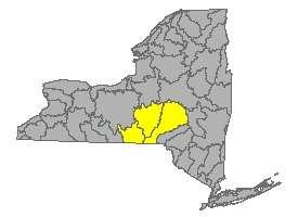 G. Community Characteristics Geographic The area of Tioga County is 518.60 square miles (2010 U.S. Census) and it is located in the central southerntier region of New York State.