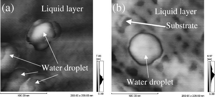 Liquid layers were present around the water droplet but were not combined with each other, indicating the surface composition of the liquid layers was not the same as the distilled water.