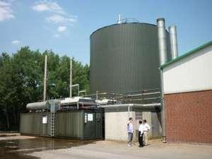 Biogas from Giant King Grass Biogas plant generating 1 MW of electricity and 1 MW of heat plus organic fertilizer Giant King Grass is