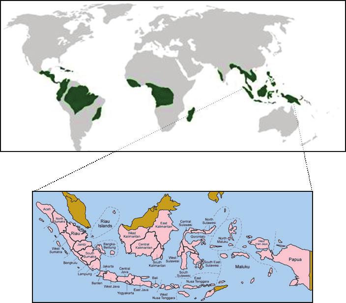 TIER 2 Mill Based Risk Profiling in Targeted Geographies Tier 2 Risk Assessment provides summary of CPO mills and associated risk factors (e.g. forest, deforestation, peat, fires) in different provinces and districts of Indonesia.