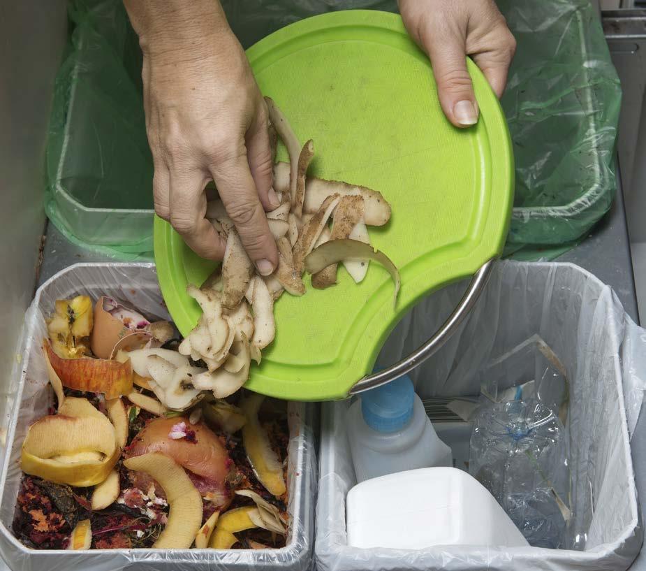 Actions Towards a Waste-Free Ontario as the targets of up to 40 per cent by 2025 and 60 per cent by 2035 set out in Ontario s Climate Change Action Plan.