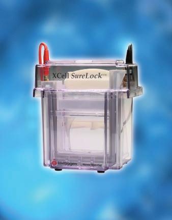 XCell SureLock Novex Mini-Cell A Complete Mini-Vertical Electrophoresis System
