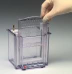 Easy electrophoresis Electrophoresis doesn t have to be hard. The XCell SureLock Novex Mini-Cell employs patented technology to make electrophoresis easier than ever before.