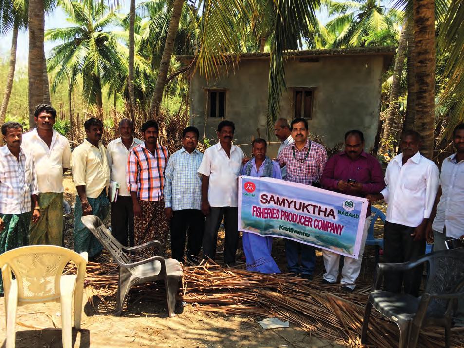 Case study 3 Marine Fisheries FPO (Krishna district) Samyuktha fisheries producer company, Etimandipallepallu village, Kruttivennu mandal, Krishna district has 425 member farmers, which was
