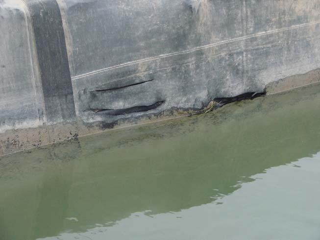 Most damage has occurred on the exposed areas of the liner and top side walls of the canal.