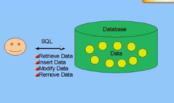 These relationships allow the database user to access the data in almost an unlimited number