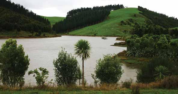 2 What do you Want to Achieve? Irrigation dam at Douglas property, Titoki. NRC The first step towards Restoring the Balance on your property is to decide what you want to achieve.