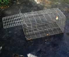 Pest animals - Plan your Attack 4.1 Trapping There are three general types of possum trap cage, leg hold and kill. Cage traps are best suited for small blocks and close to houses.