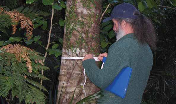 Monitoring Ecosystems 4.6 Tree measuring, Maungamuka.