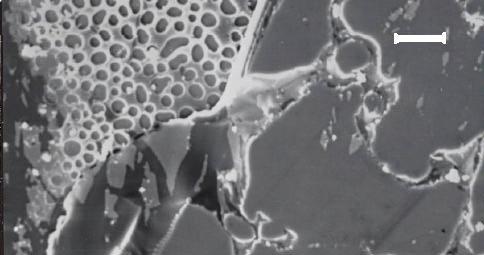 Silicon Polymer 10 µm Figure 4. Partial silicon thin film transfer after ion cut. Etch Back Thinning.