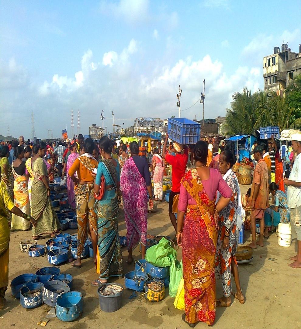 Fishing communities in India and Mumbai The fisheries sector contributes significantly to the local and national economy, to employment and to food security About 75 per cent of fish production in