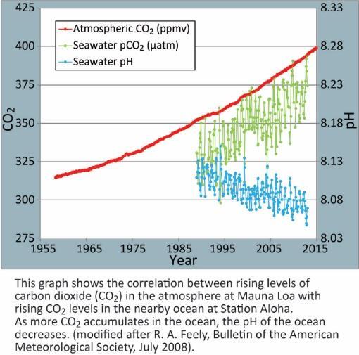 Background: Ocean Acidification is caused by